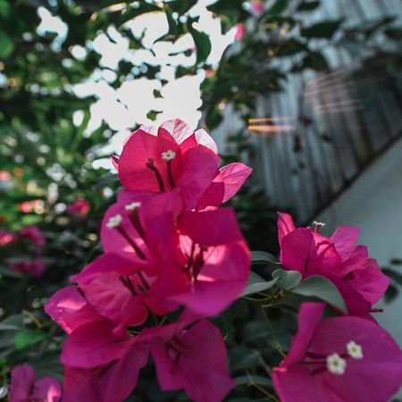 Oh Battambang Boutique Hotel Exterior foto
